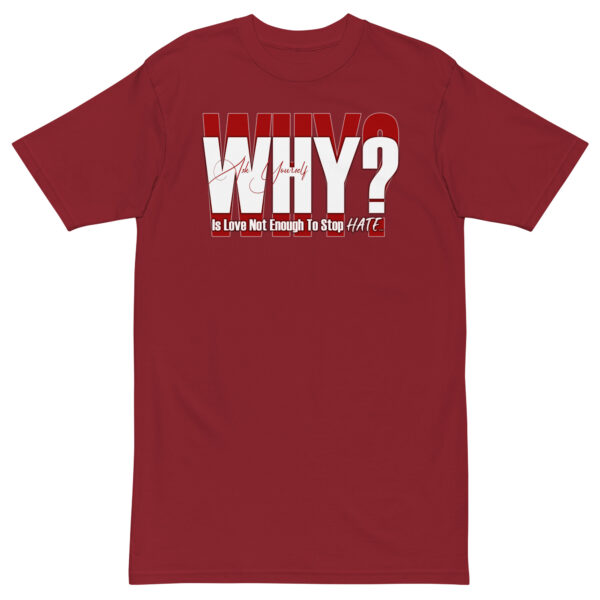 WHY? Men’s premium heavyweight tee - Image 5