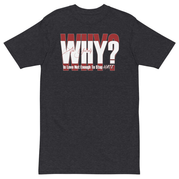 WHY? Men’s premium heavyweight tee - Image 3