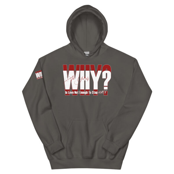 WHY? Unisex Hoodie - Image 8