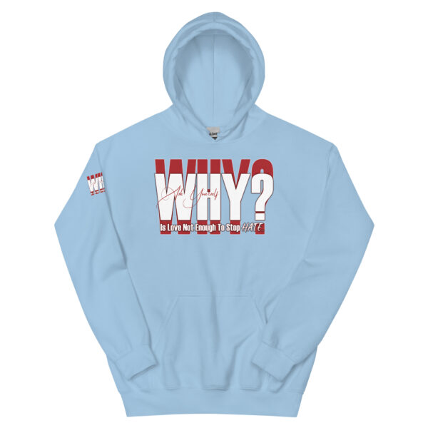 WHY? Unisex Hoodie - Image 10