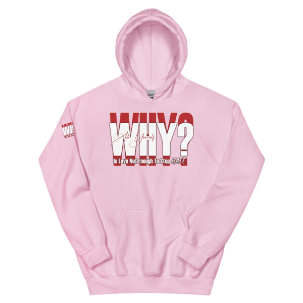 WHY? Unisex Hoodie - Image 11