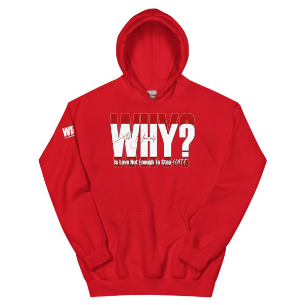 WHY? Unisex Hoodie - Image 2